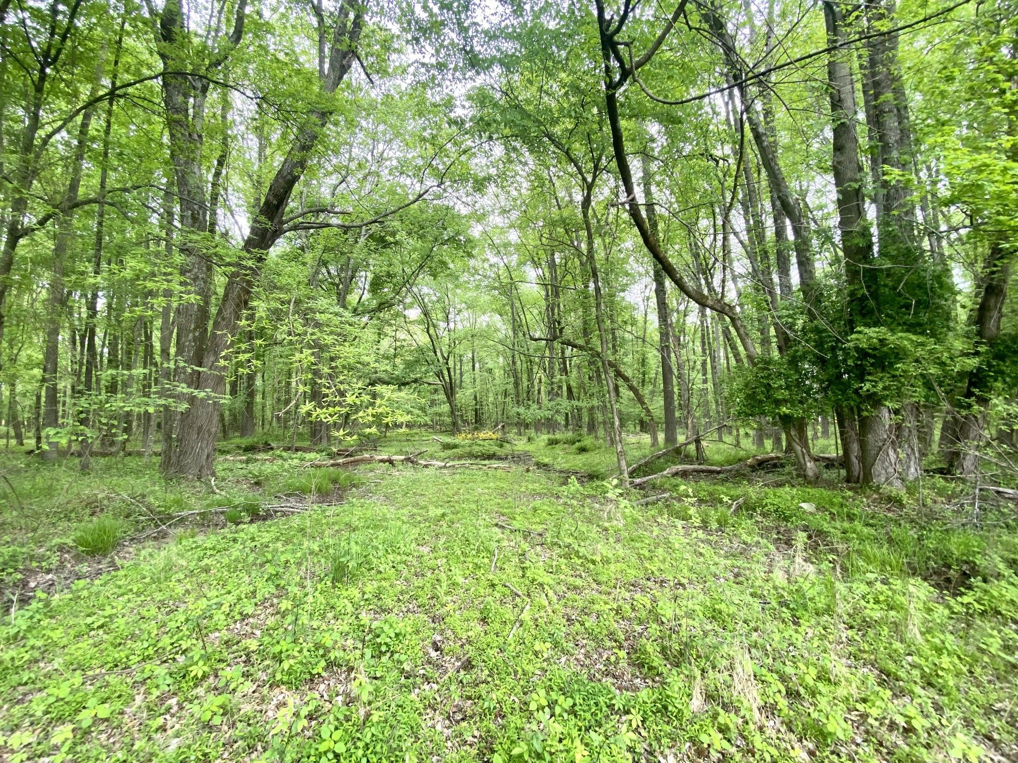 4858 Guthrie Rd, Clarksville, TN 37043 MLS 2380102