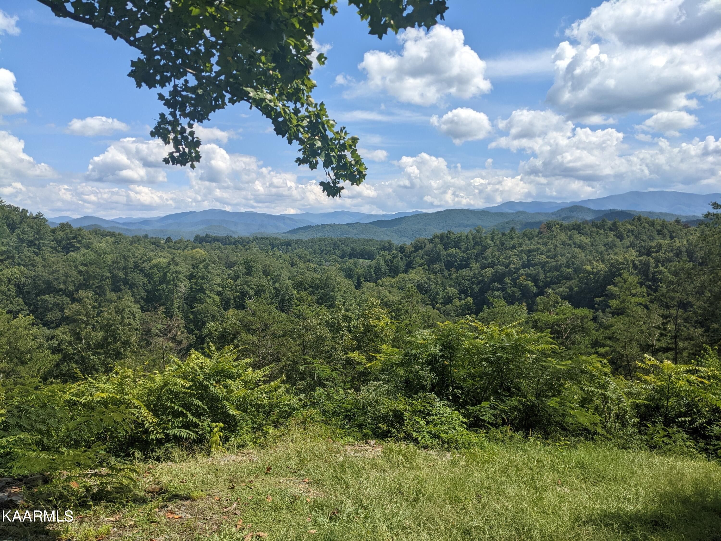 5 acres in Blount County, Tennessee