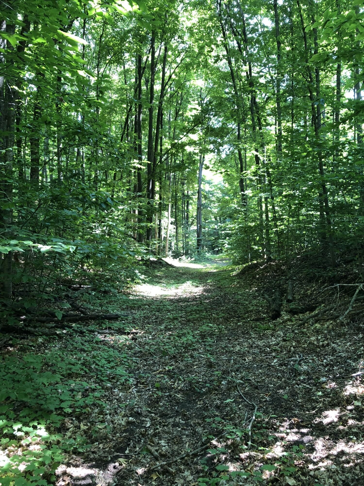 10.01 acres in Emmet County, Michigan