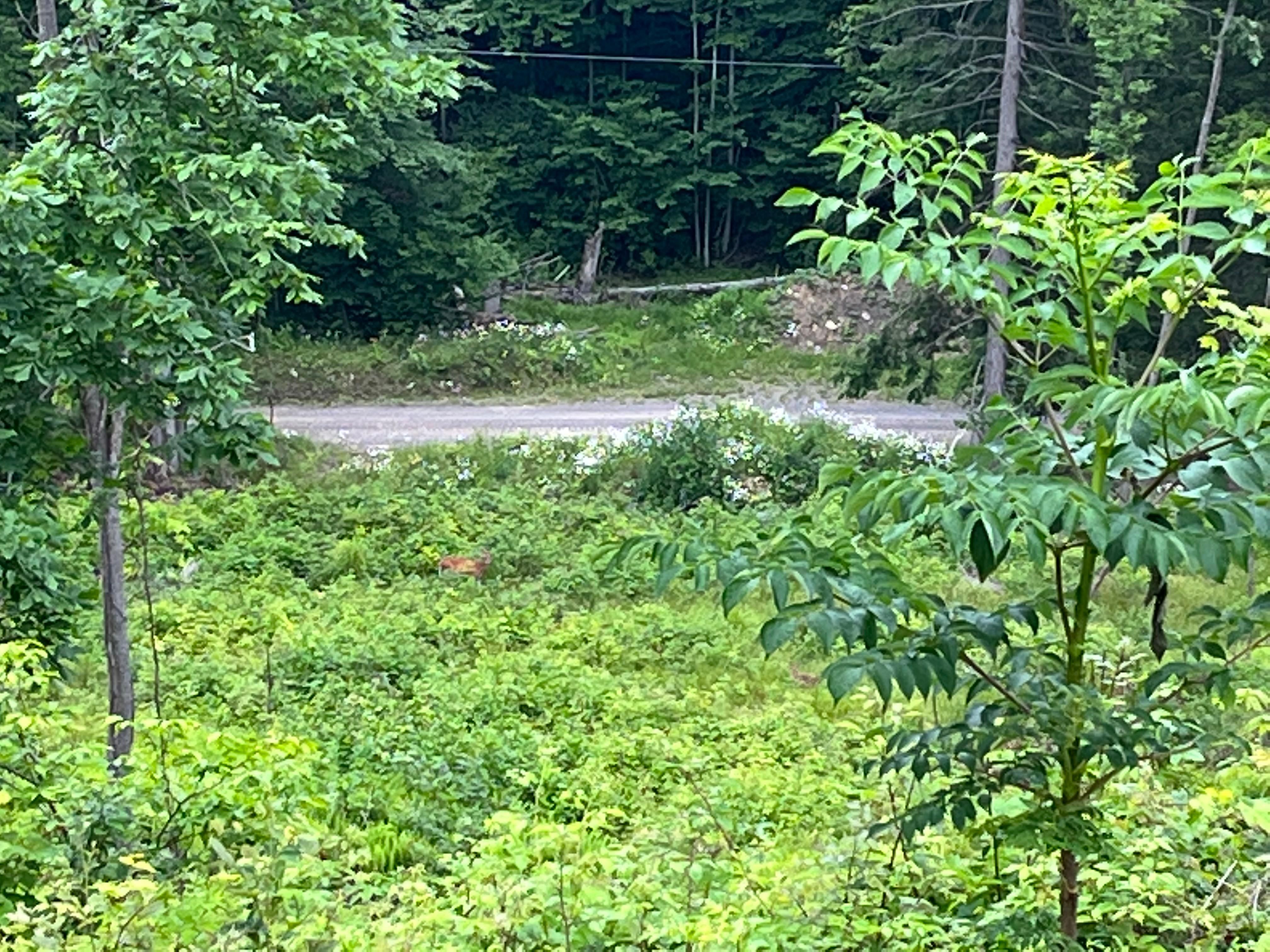 106 acres in Elk County, Pennsylvania