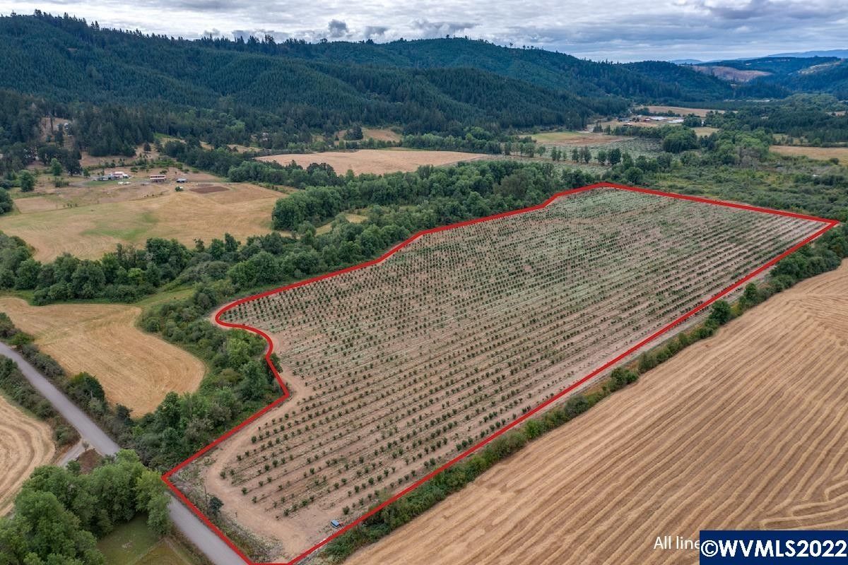 32 acres in Yamhill County, Oregon
