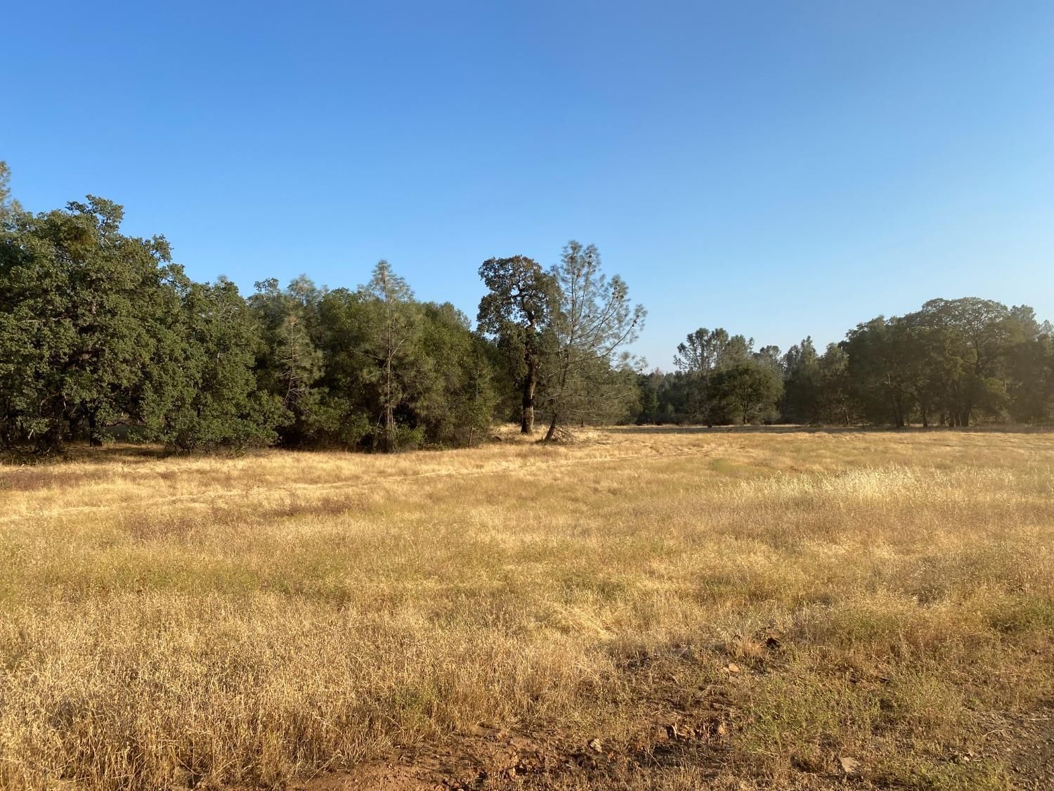 10 acres in Yuba County, California