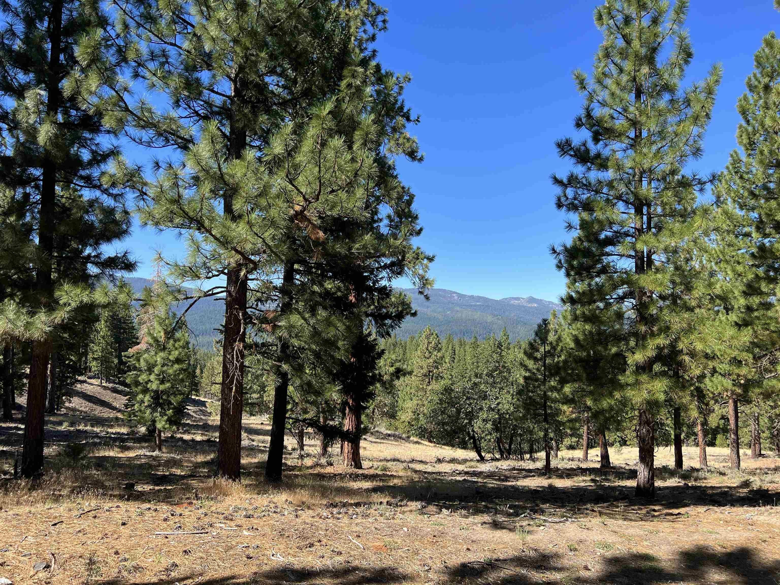 8.7 acres in Plumas County, California