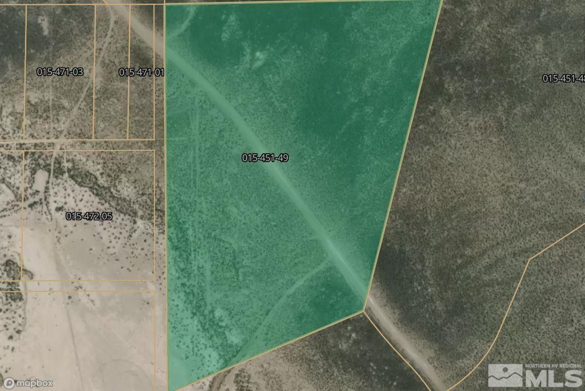 40 acres in Lyon County, Nevada