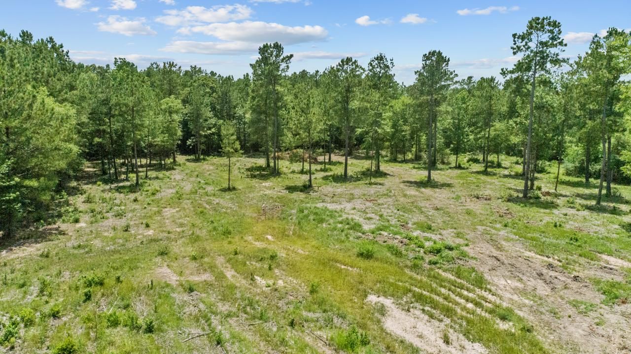 29 acres in Angelina County, Texas