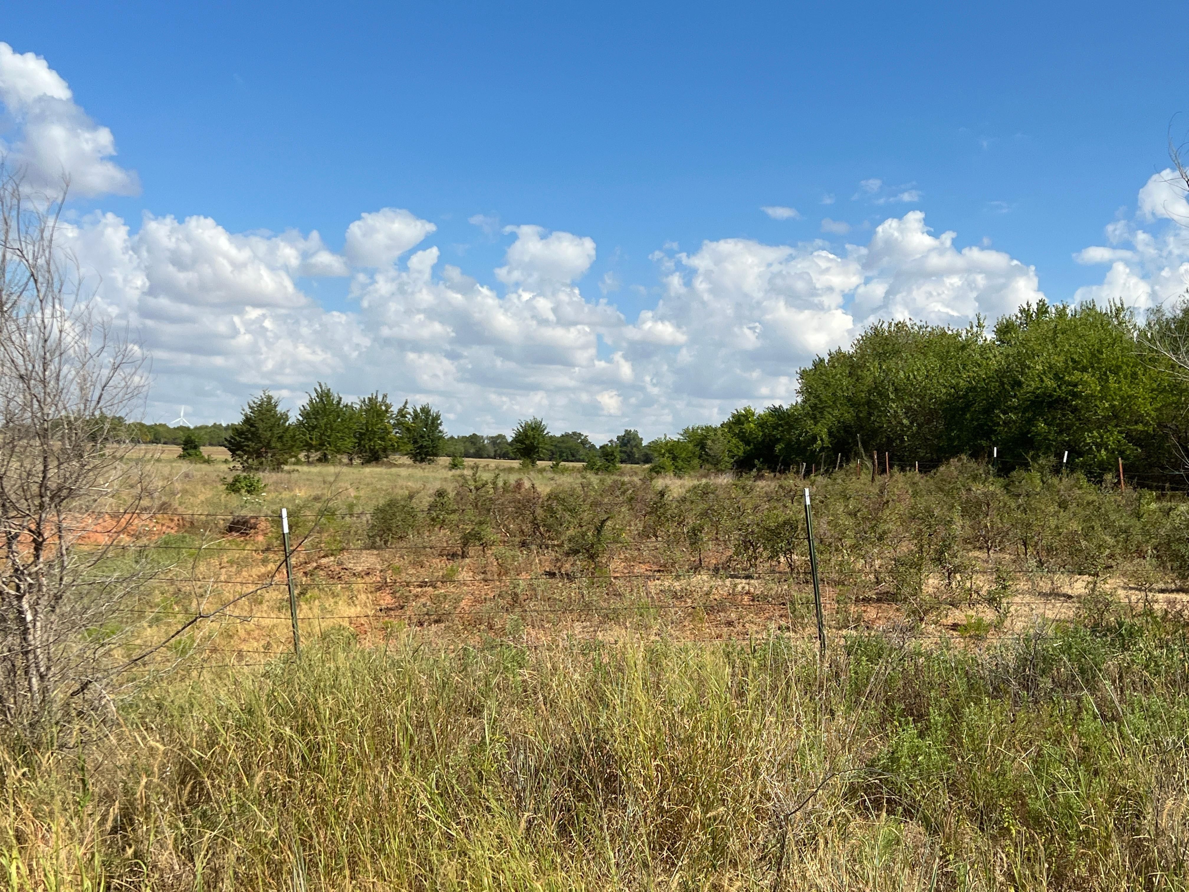 80 acres in Harper County, Kansas