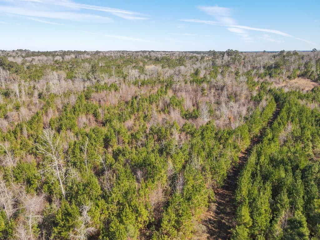 800 acres in Wilkinson County, Mississippi