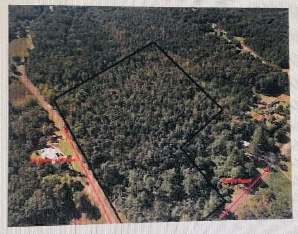 14 acres in McNairy County, Tennessee