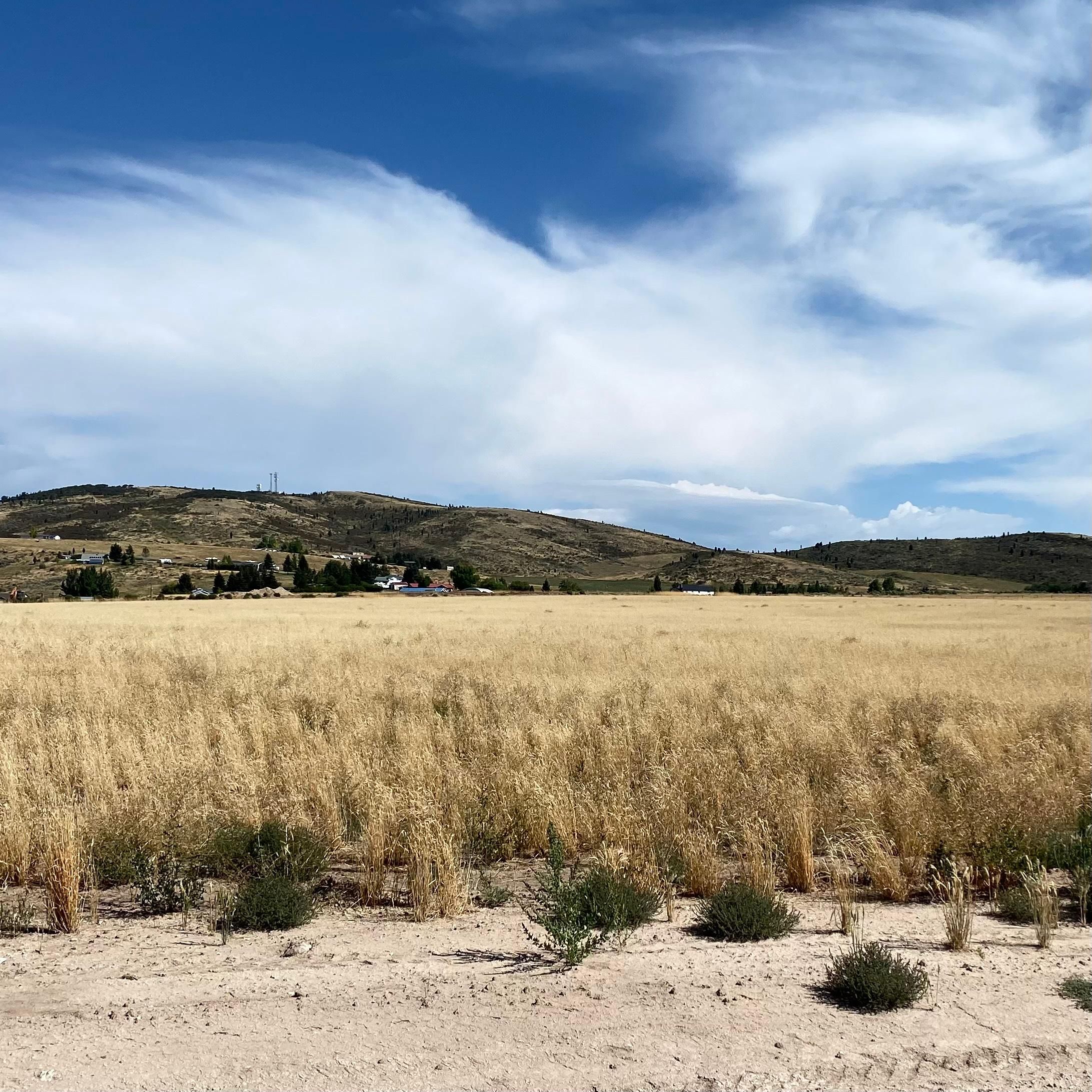 5 acres in Caribou County, Idaho