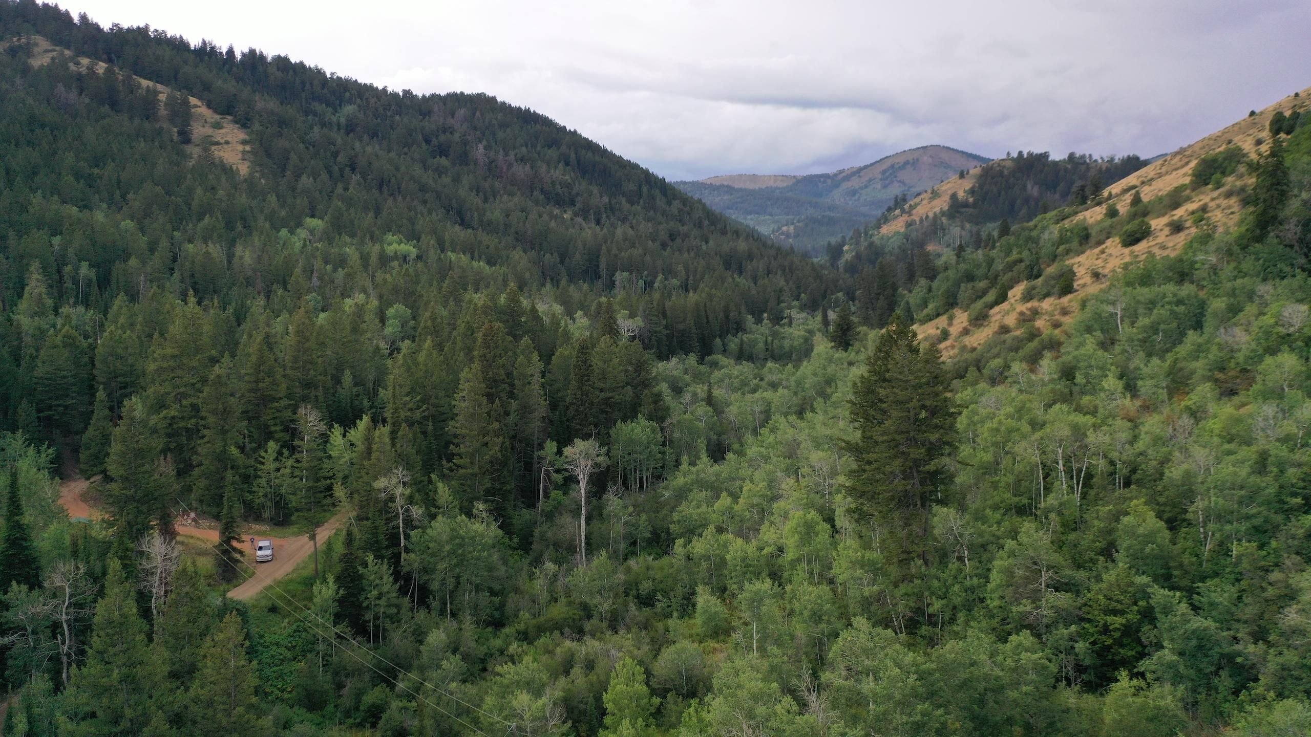 40 acres in Bear Lake County, Idaho