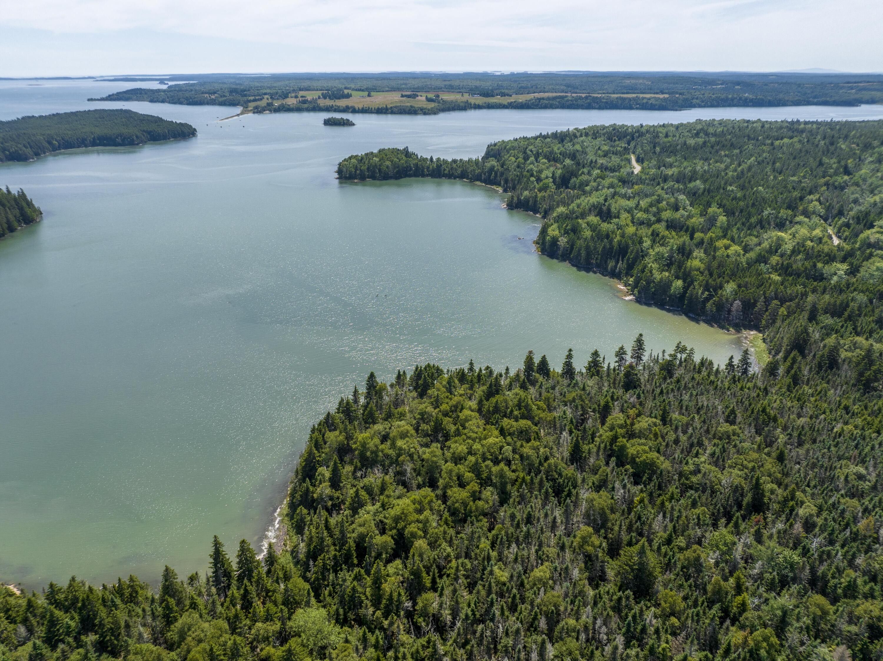 20 acres in Washington County, Maine