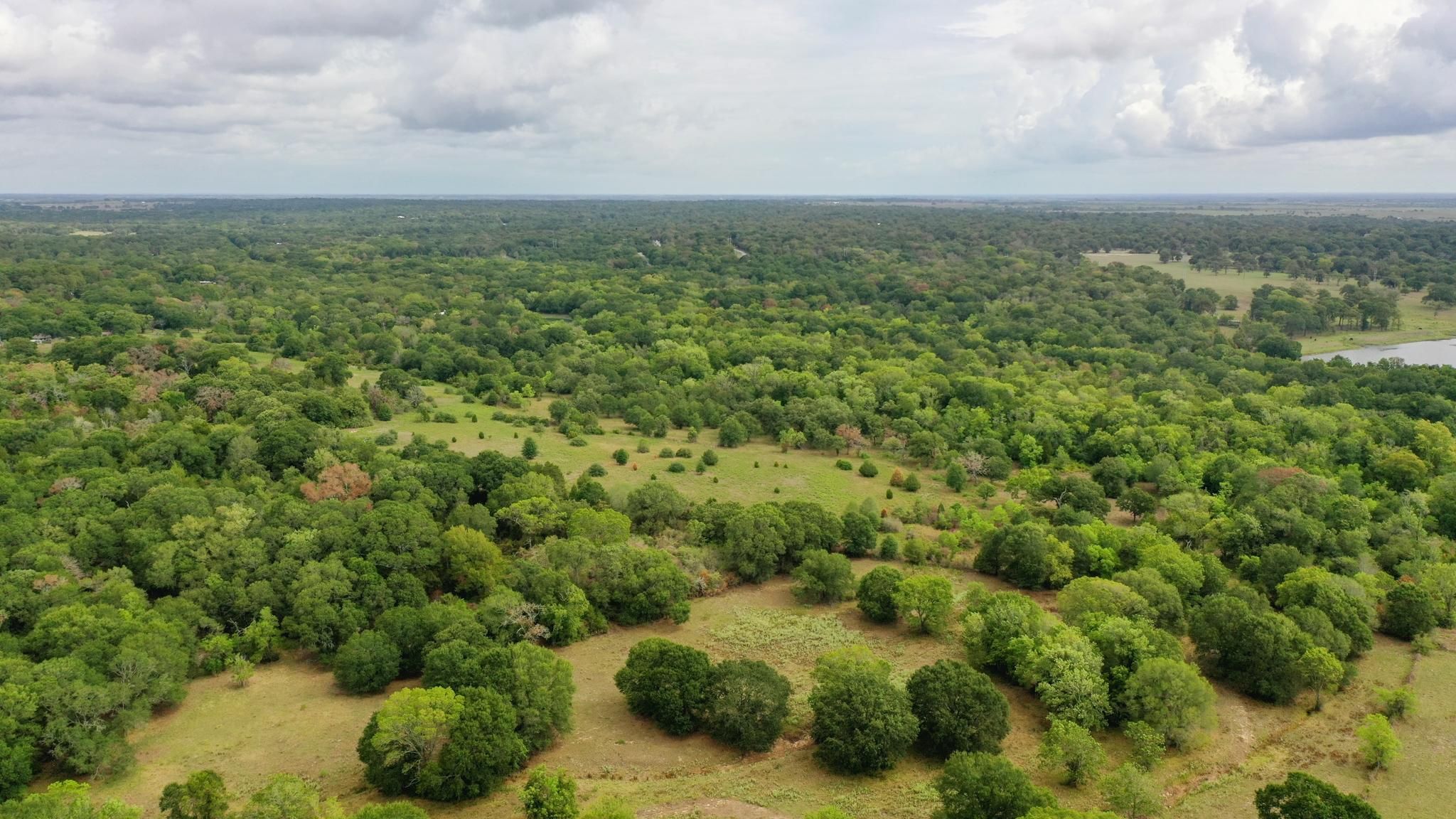 43 acres in Austin County, Texas