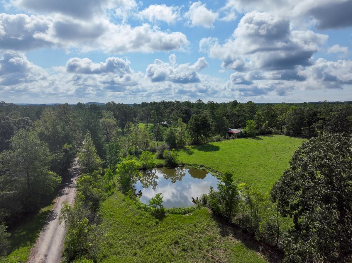 126 acres in Tyler County, Texas