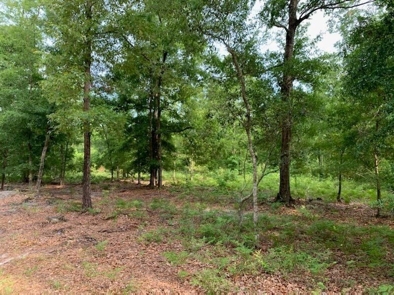 7 acres in Charleston County, South Carolina