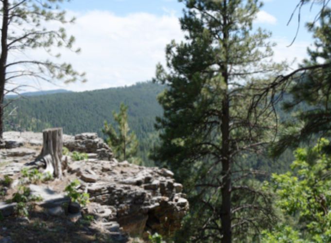 967 acres in Lawrence County, South Dakota