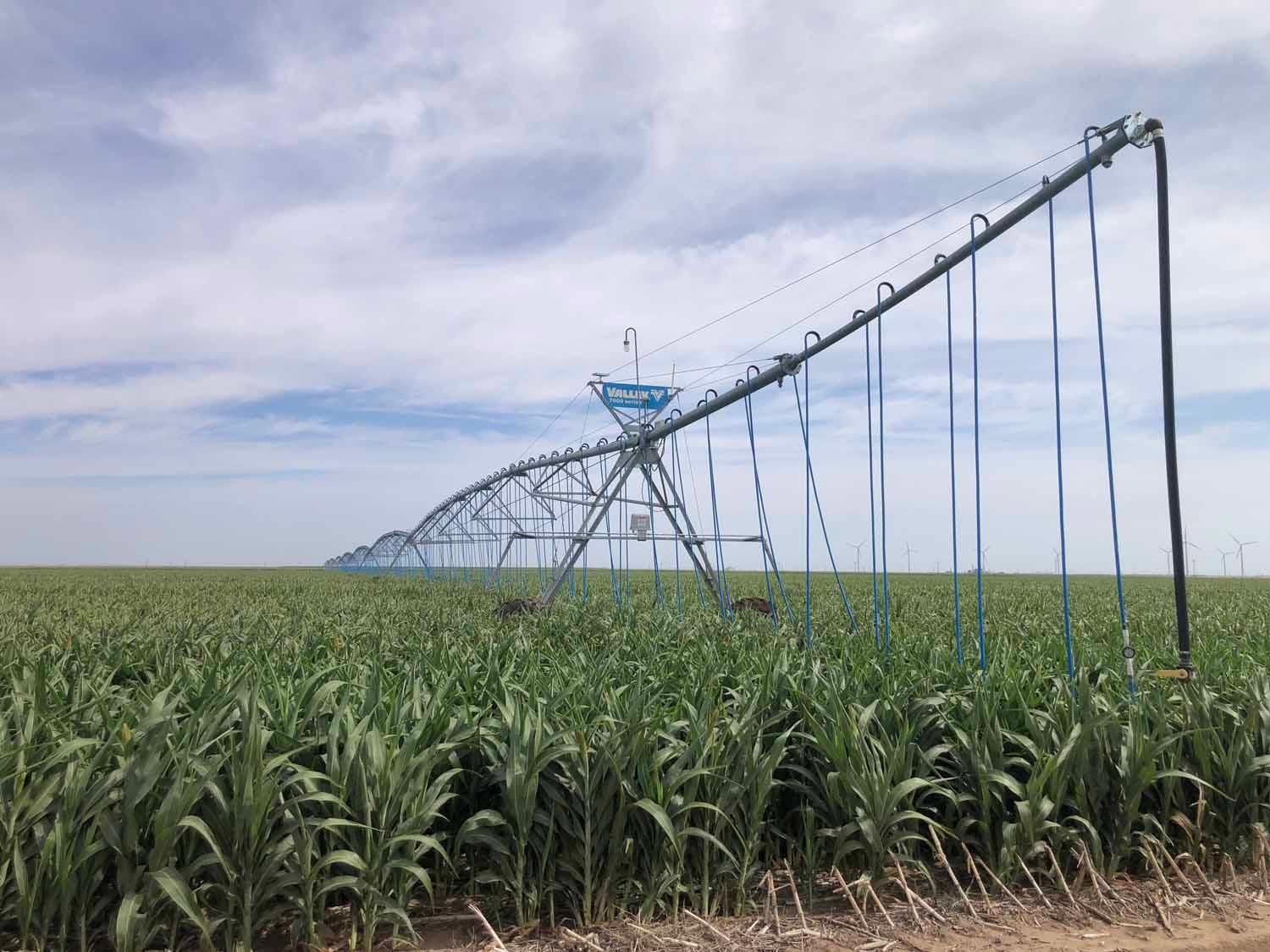 230 acres in Dumas, TX, 79029