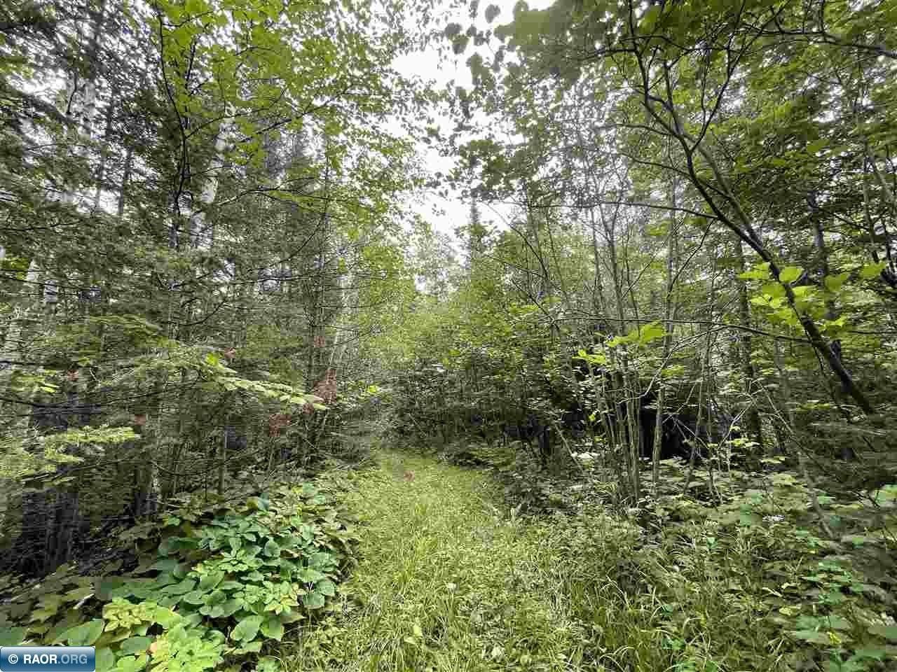 10 acres in Lake County, Minnesota