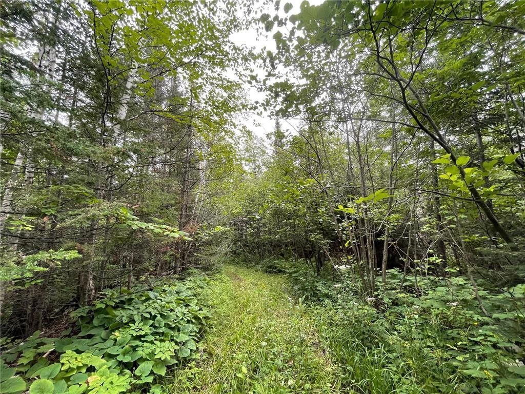 10 acres in Lake County, Minnesota