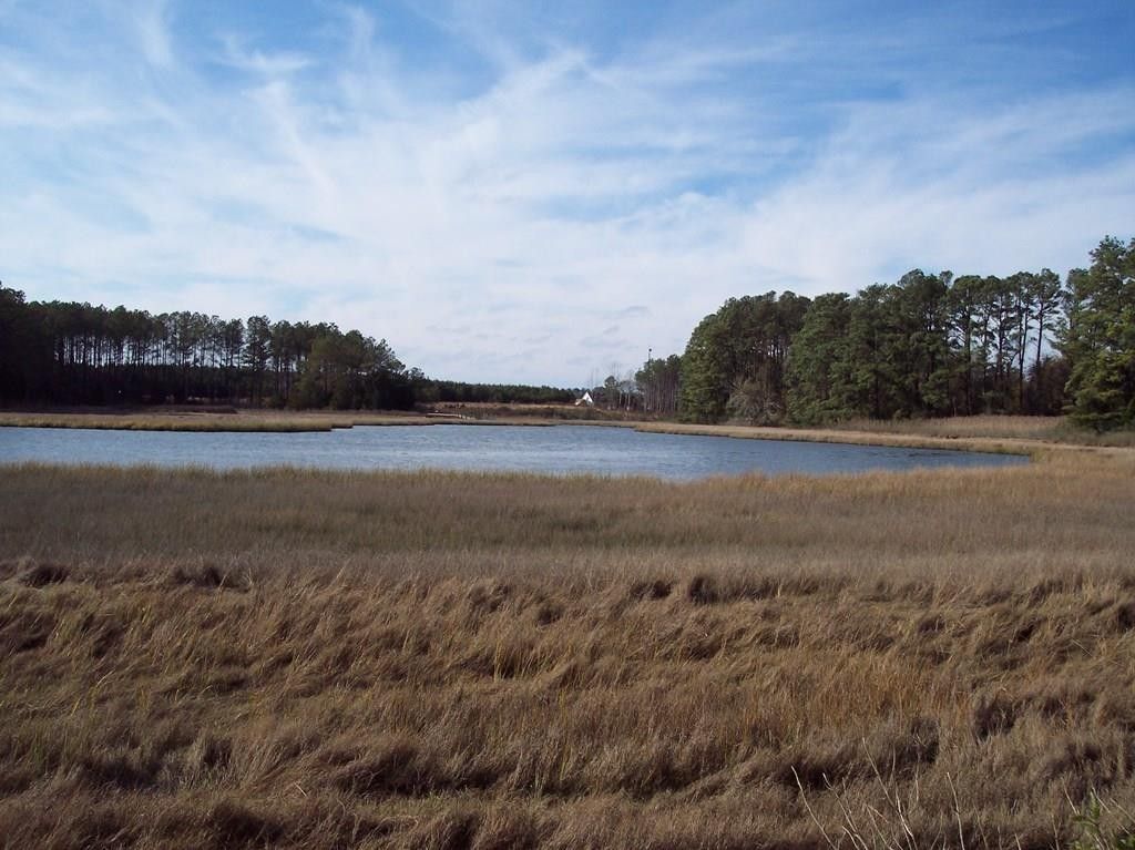 10 acres in County, Virginia