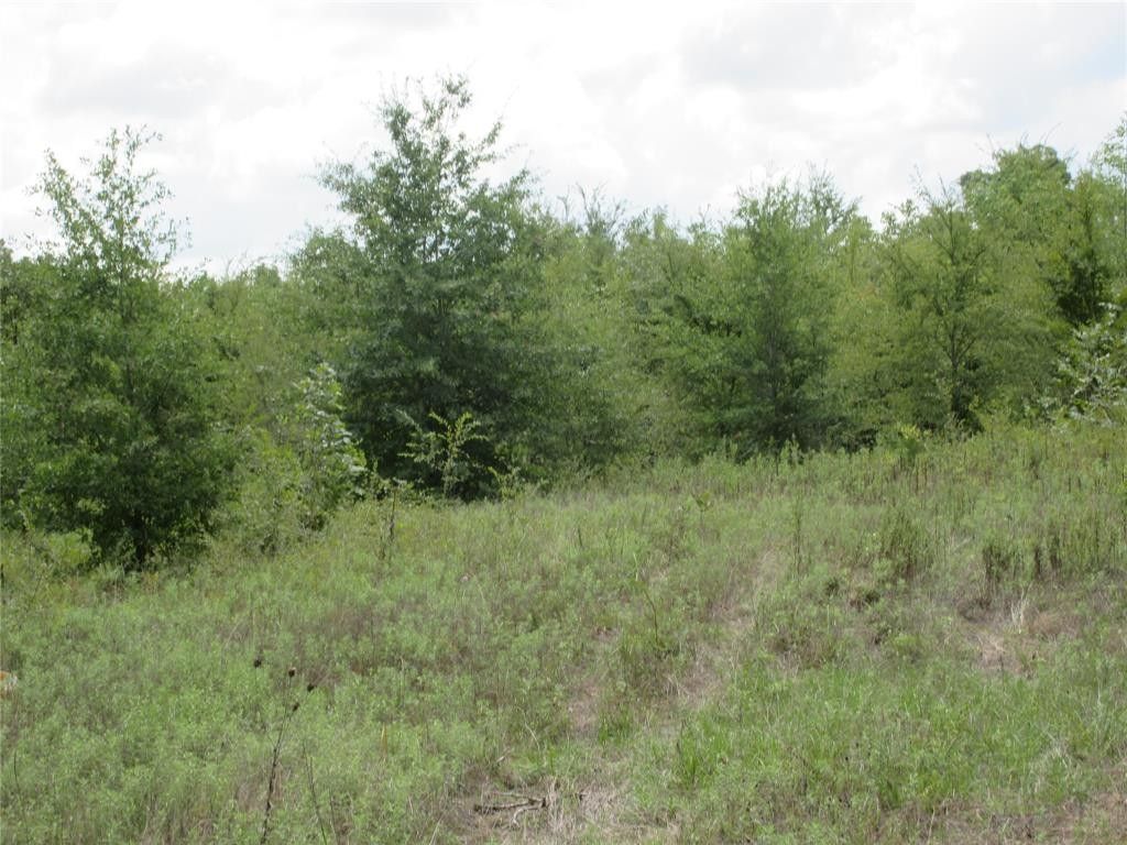 4 acres in Fannin County, Texas