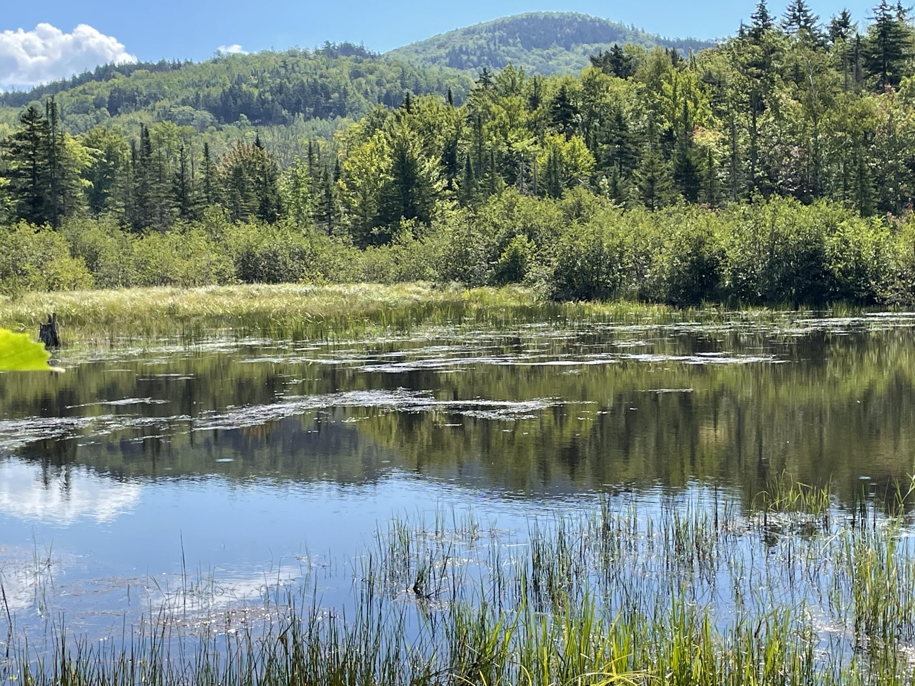 51.4 acres in Franklin County, Maine