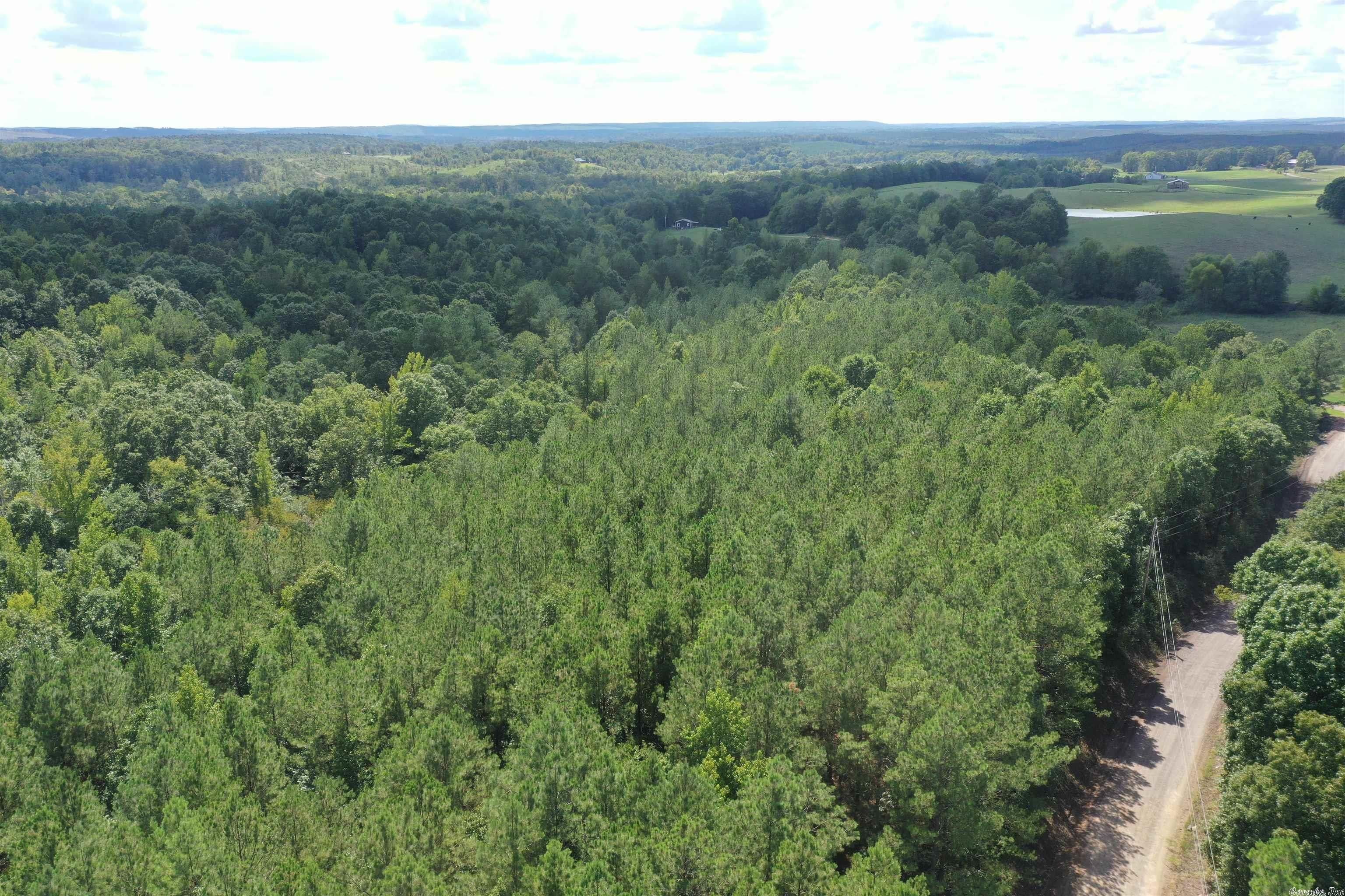 10 acres in Pike County, Arkansas