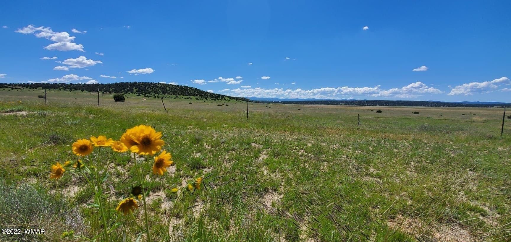 40 acres in Apache County, Arizona