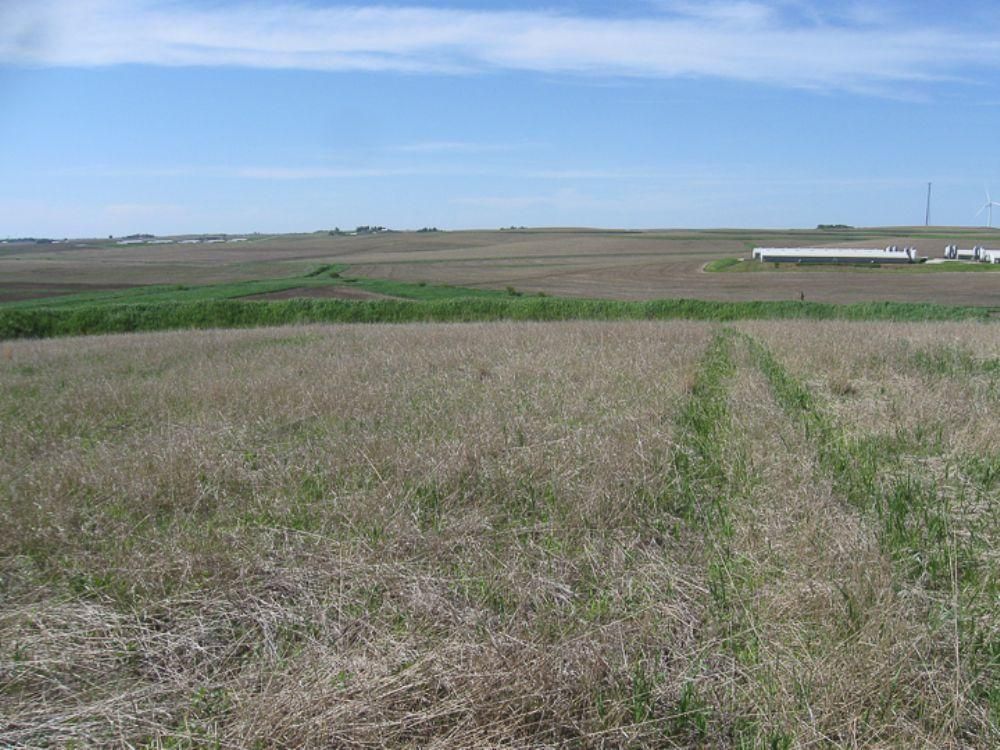 352 acres in Audubon County, Iowa