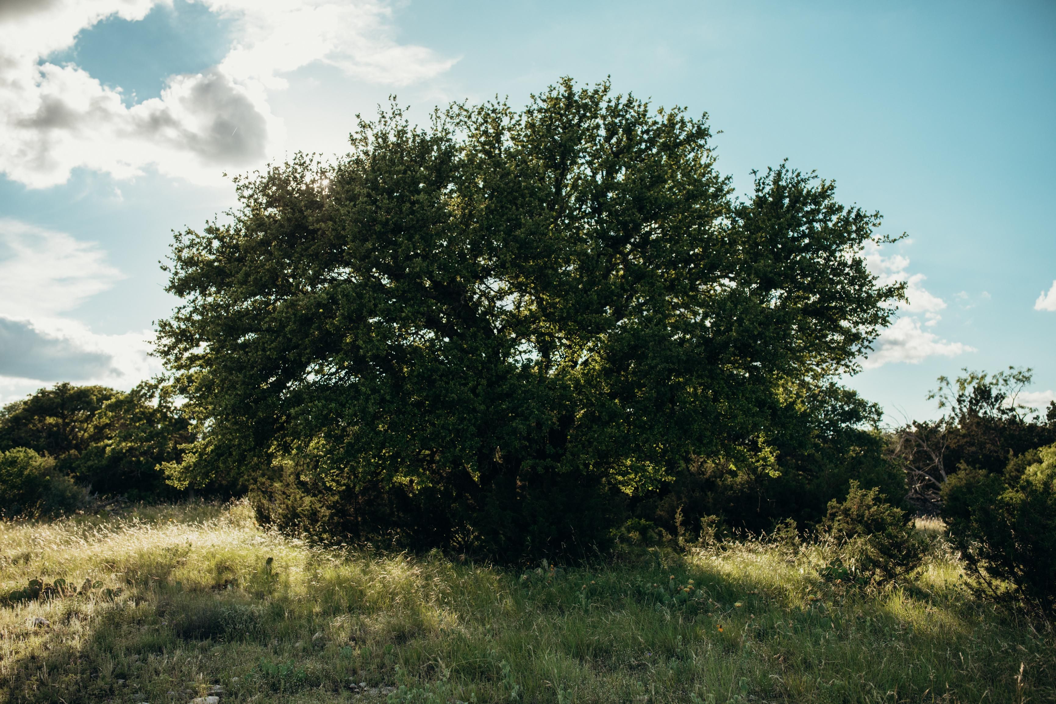 195 acres in Sutton County, Texas