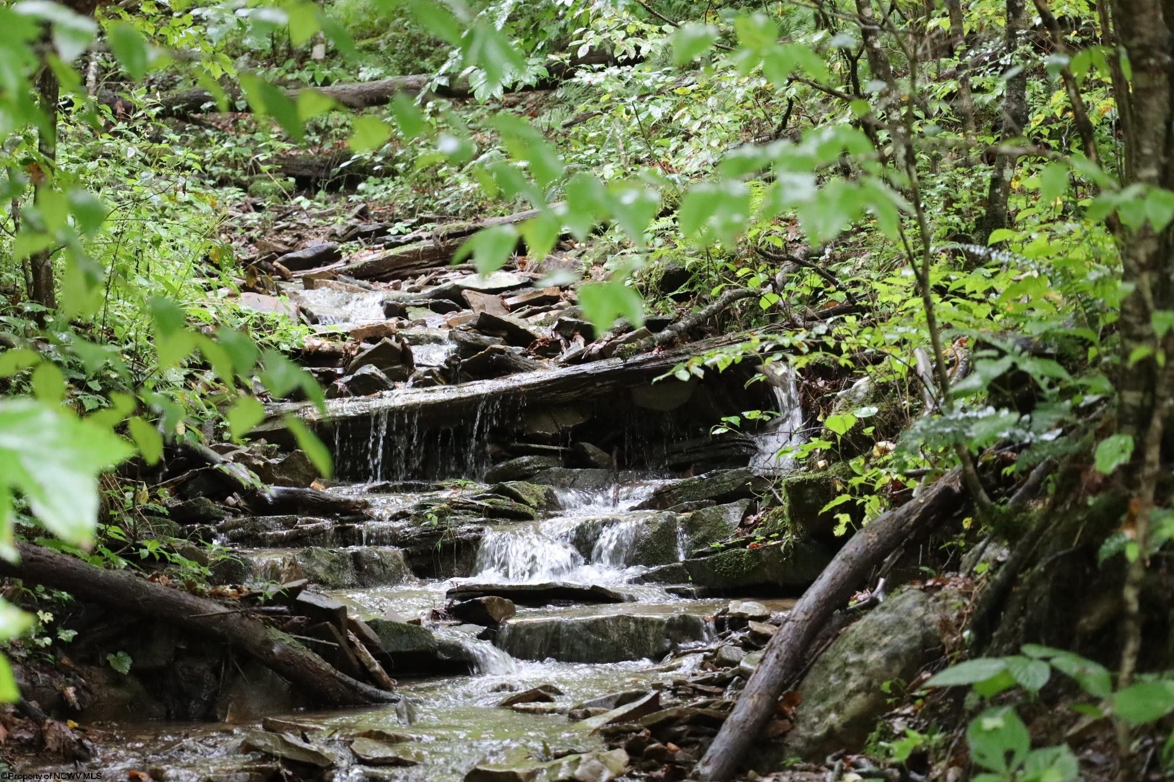 106.32 acres in Tucker County, West Virginia