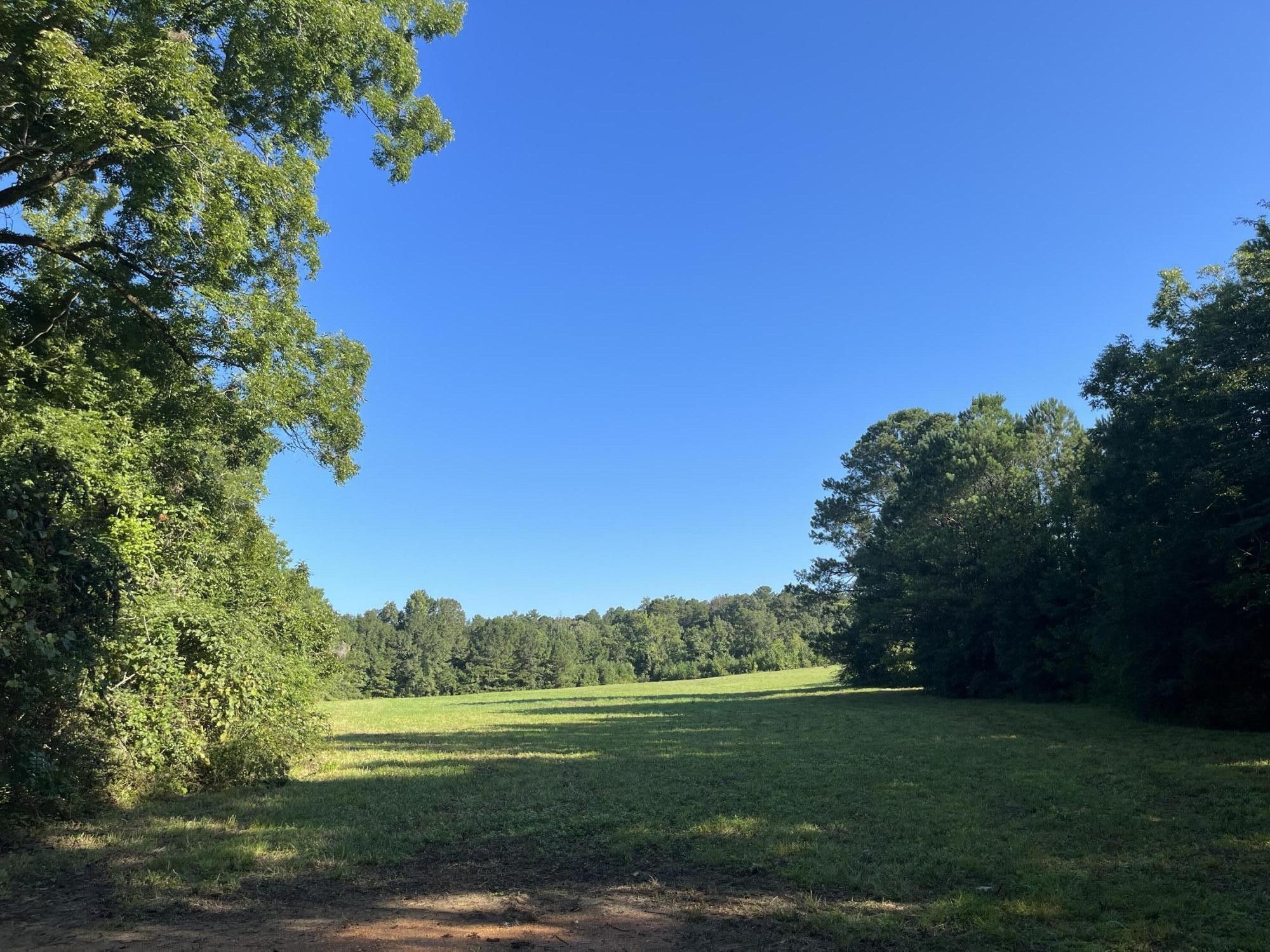 40 acres in Oktibbeha County, Mississippi