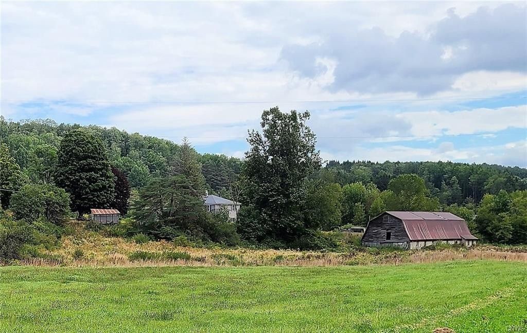 180 acres in Chenango County, New York