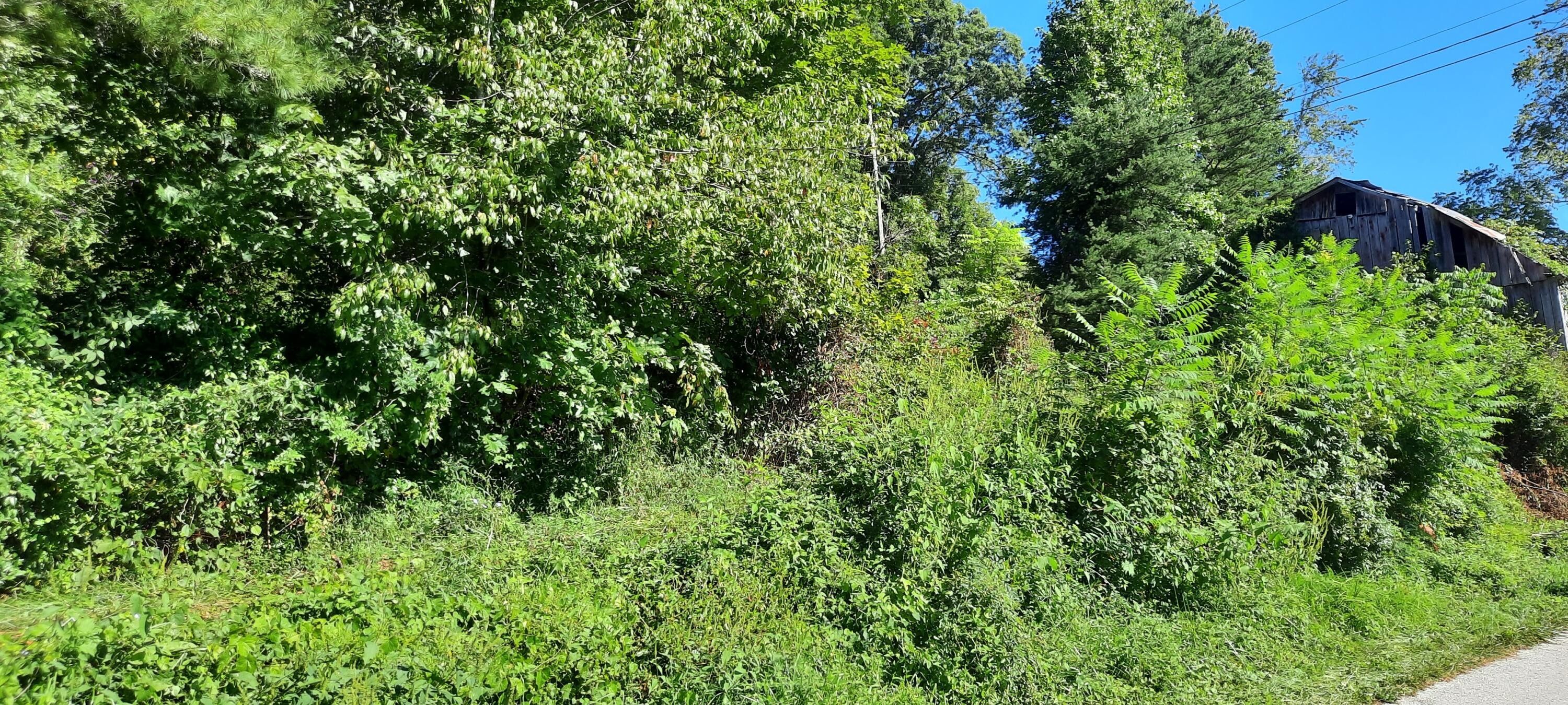 8 acres in Laurel County, Kentucky
