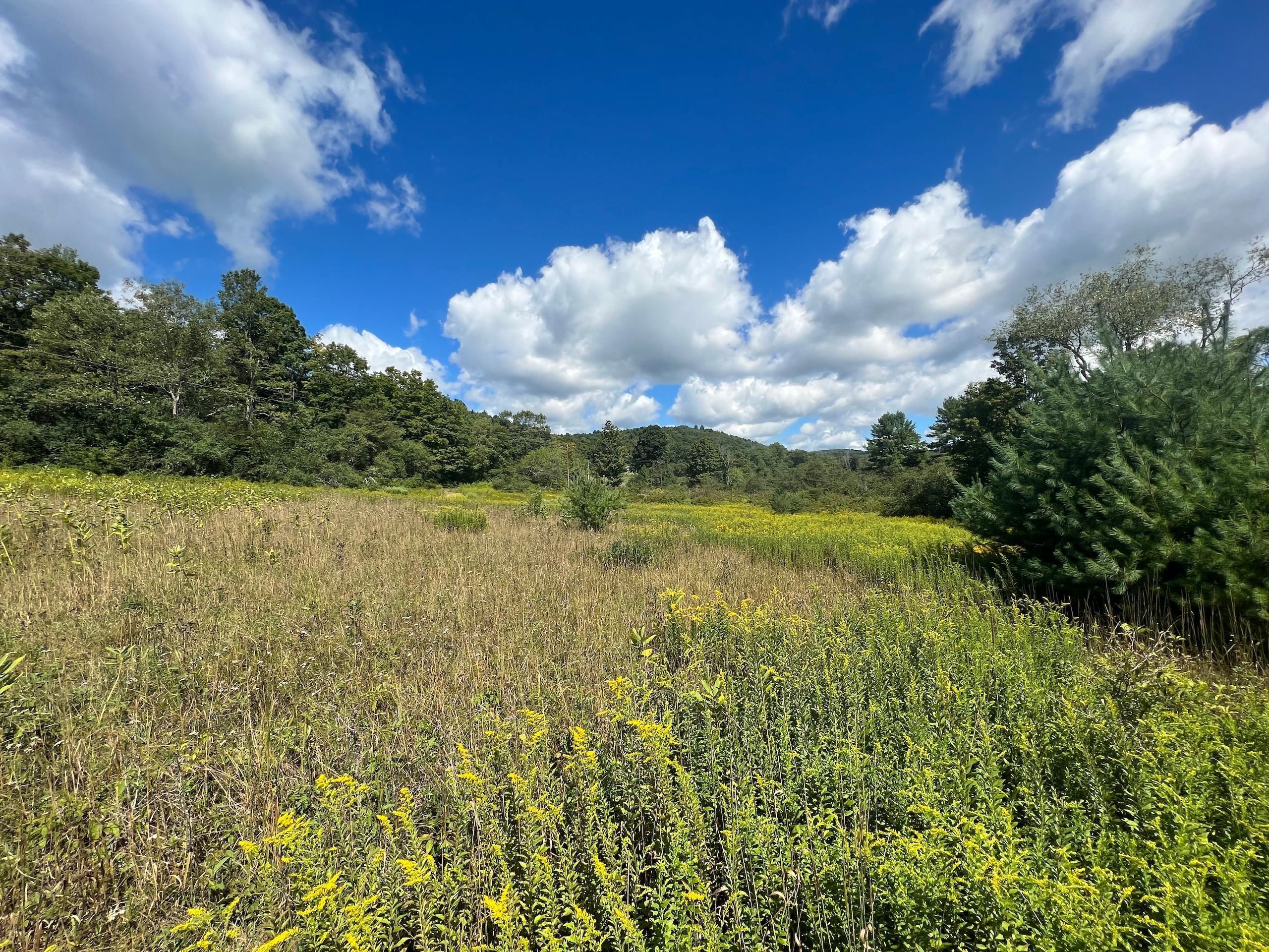 35 acres in Susquehanna County, Pennsylvania