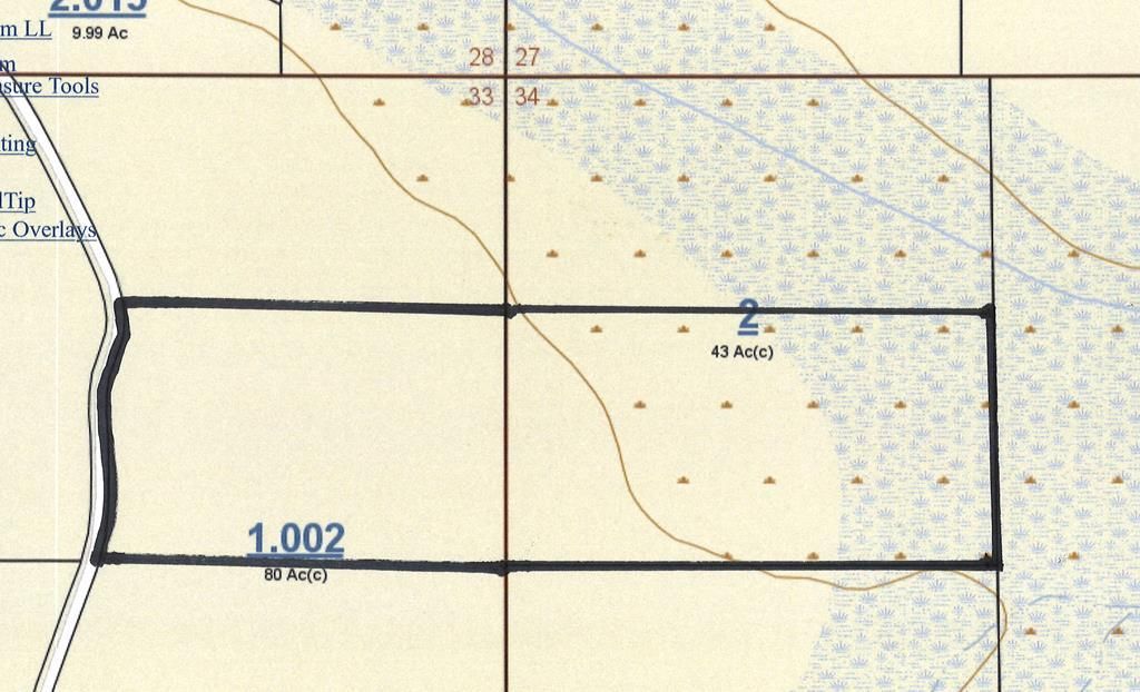 40 acres in Pike County, Alabama