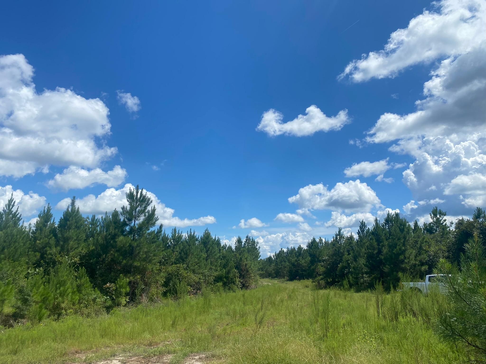 84.3 acres in Early County,