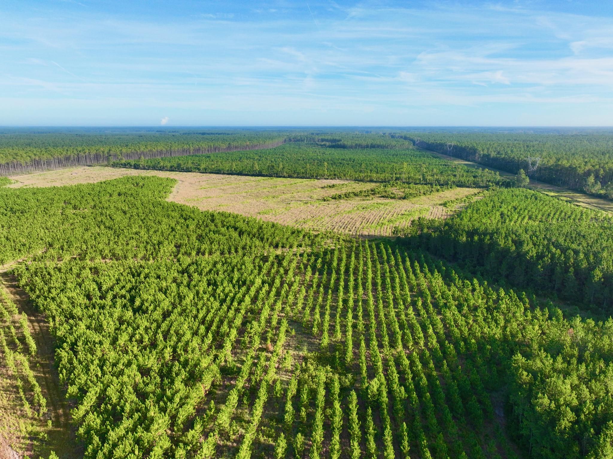 2050 Mill Pond Road, Odum, GA 31555