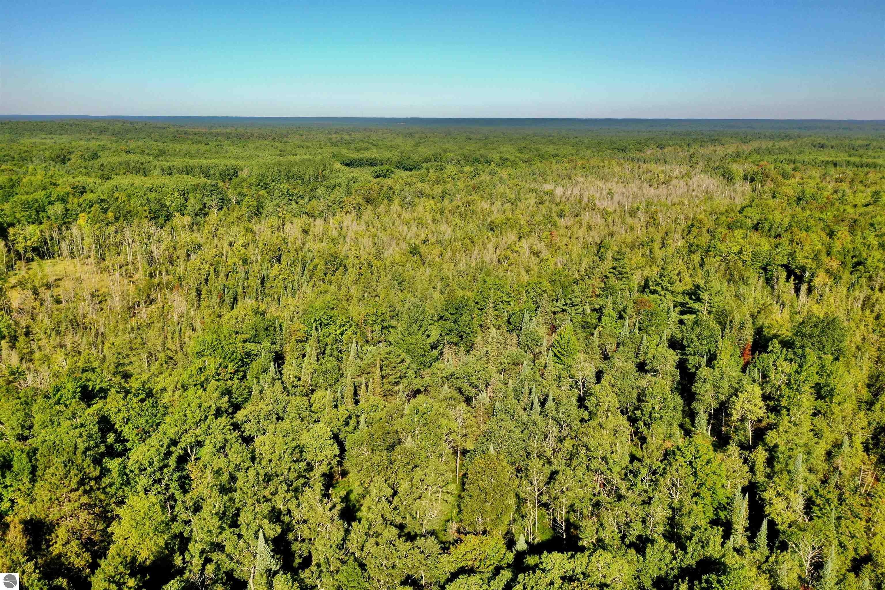 40 acres in Wexford County, Michigan