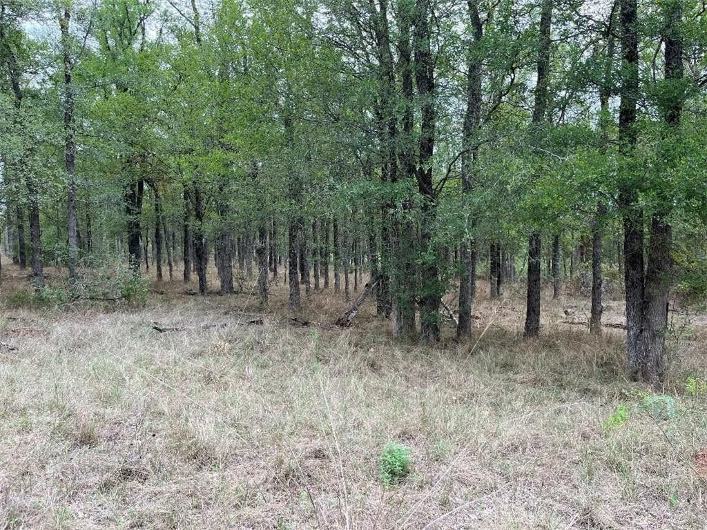 10.34 acres in Falls County, Texas