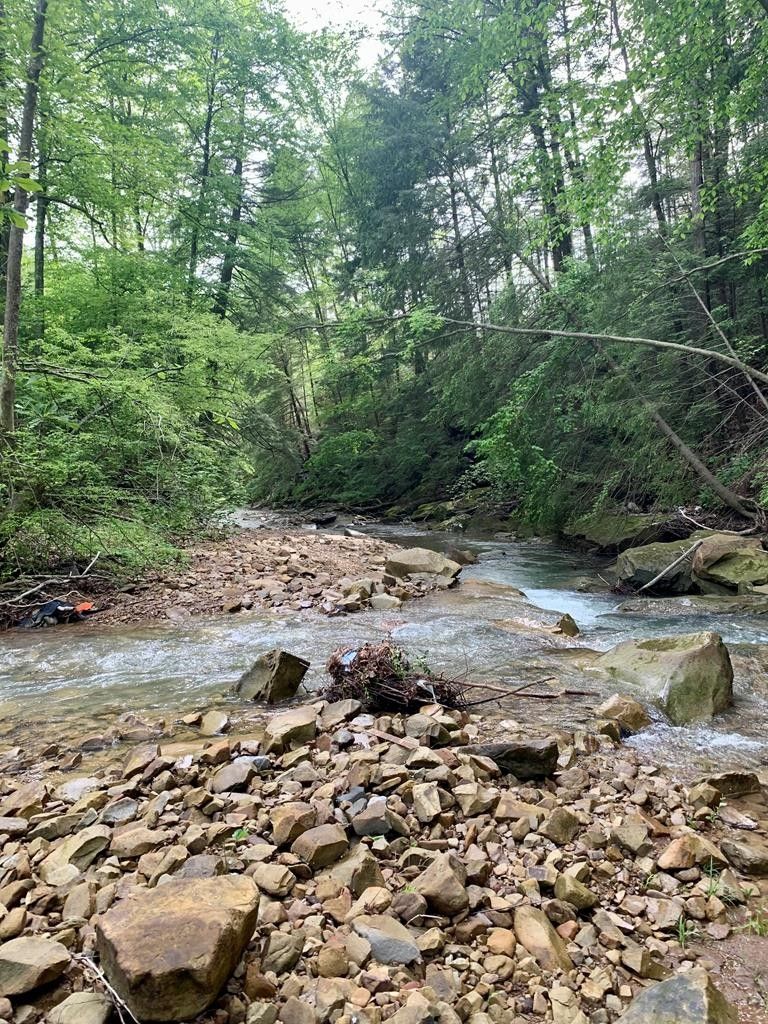 96.25 acres in Lewis County, Kentucky