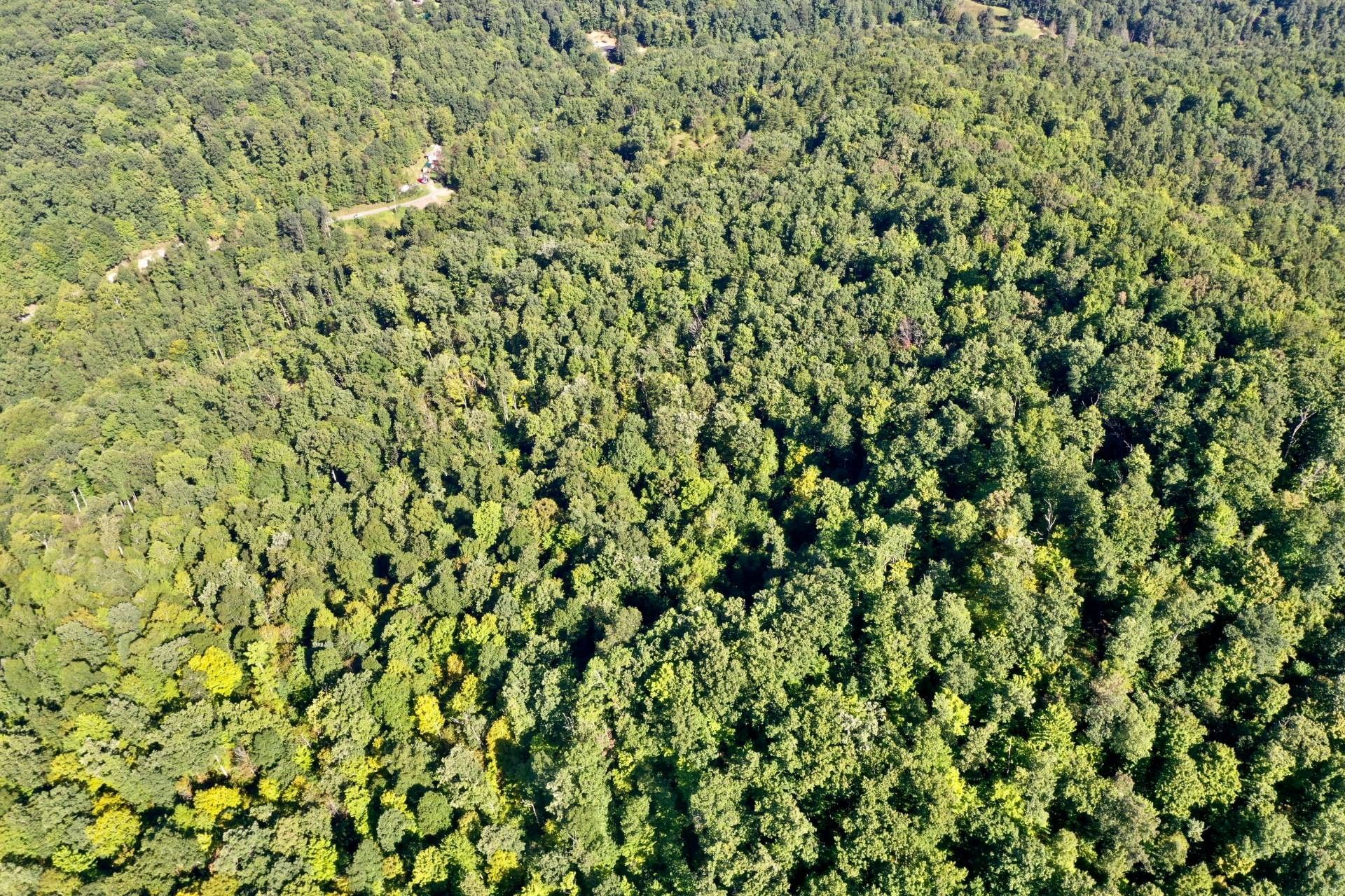 30 acres in Clay County, West Virginia