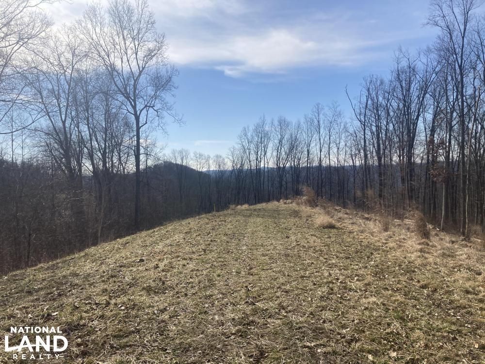 203.25 acres in Lewis County, West Virginia