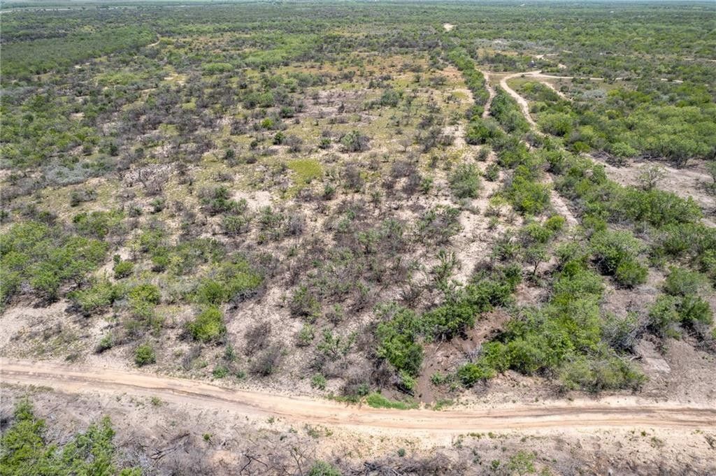 11.9 acres in Live Oak County, Texas