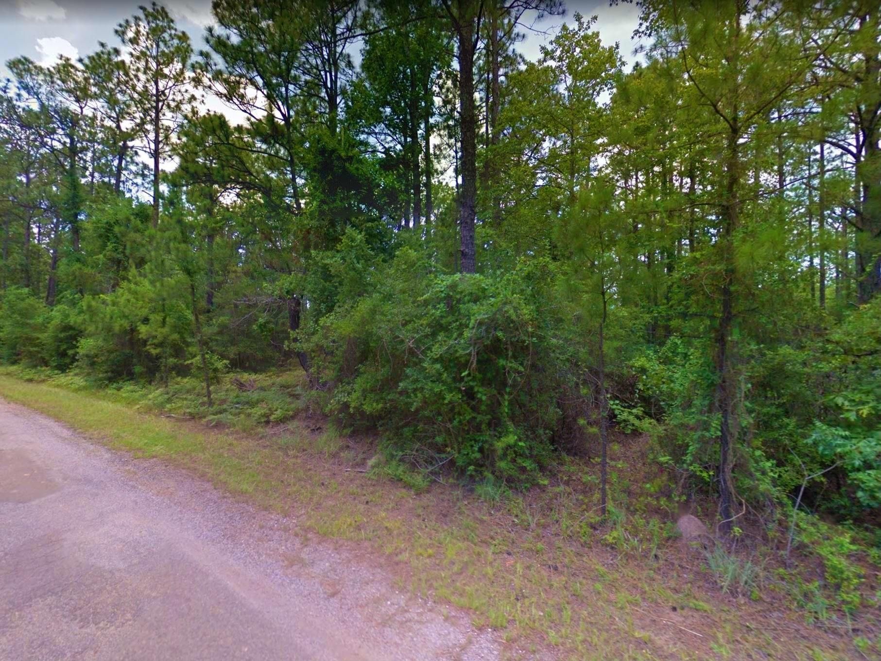 0.25 acres in Jasper County, Texas