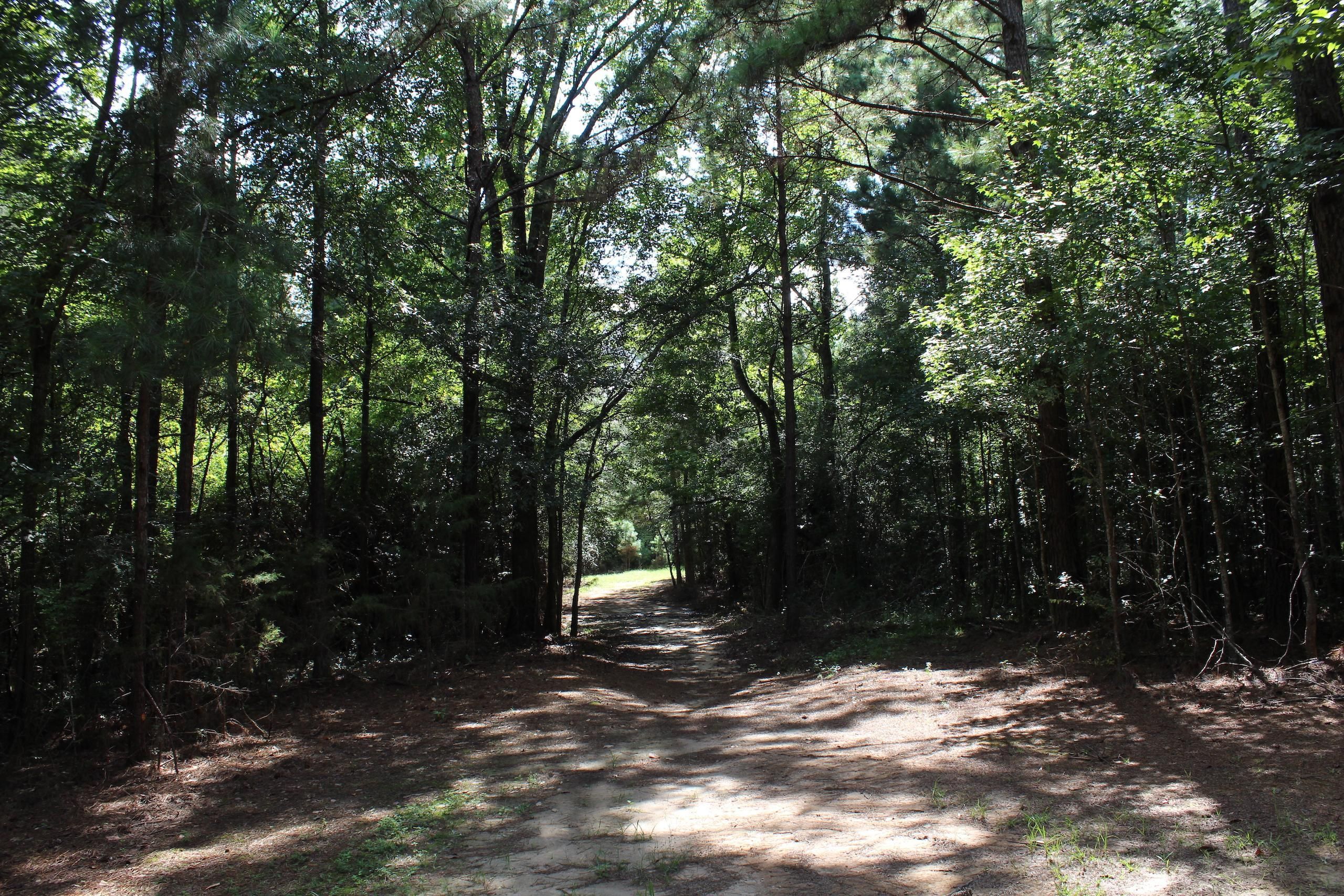 240 acres in Copiah County, Mississippi