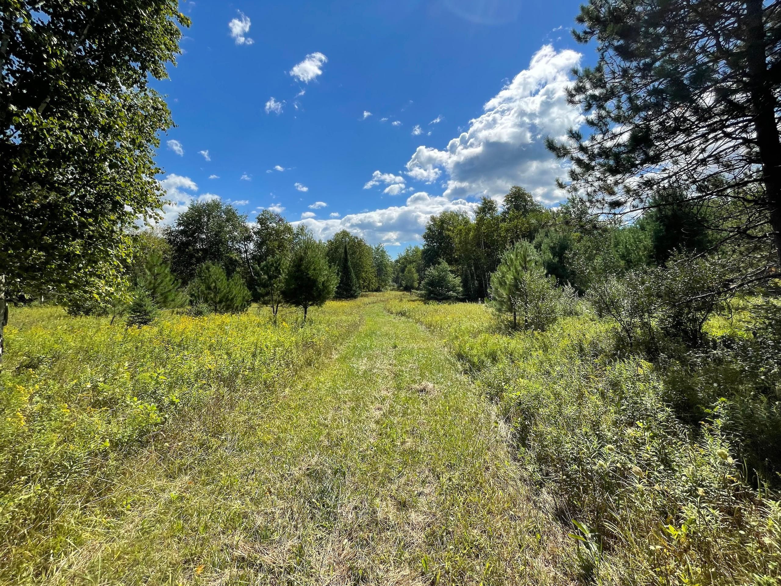 160 acres in Ogemaw County, Michigan