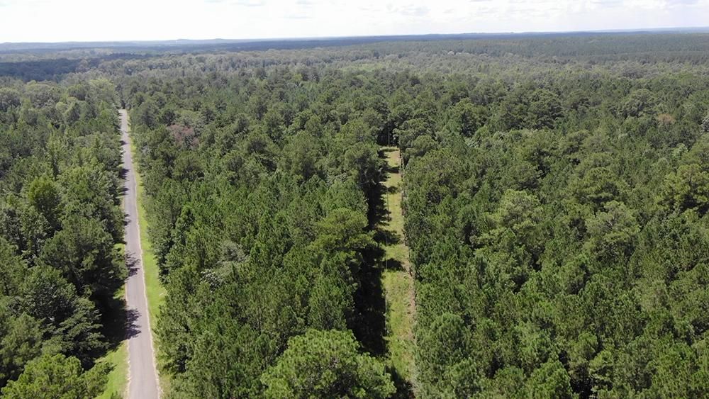 40 acres in Jasper County, Mississippi
