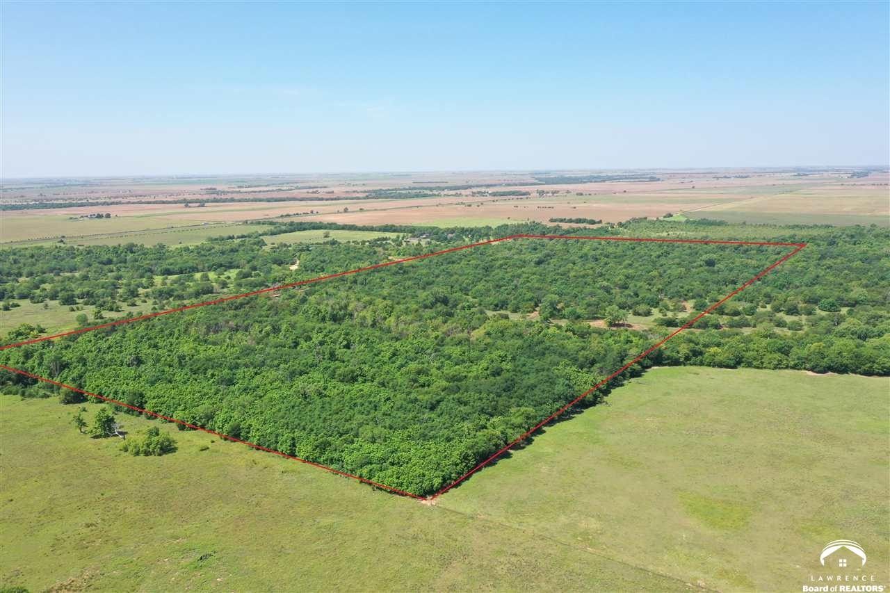 81.4 acres in Sumner County, Kansas