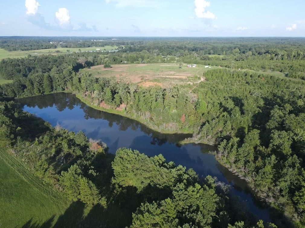 53 acres in Cass County, Texas