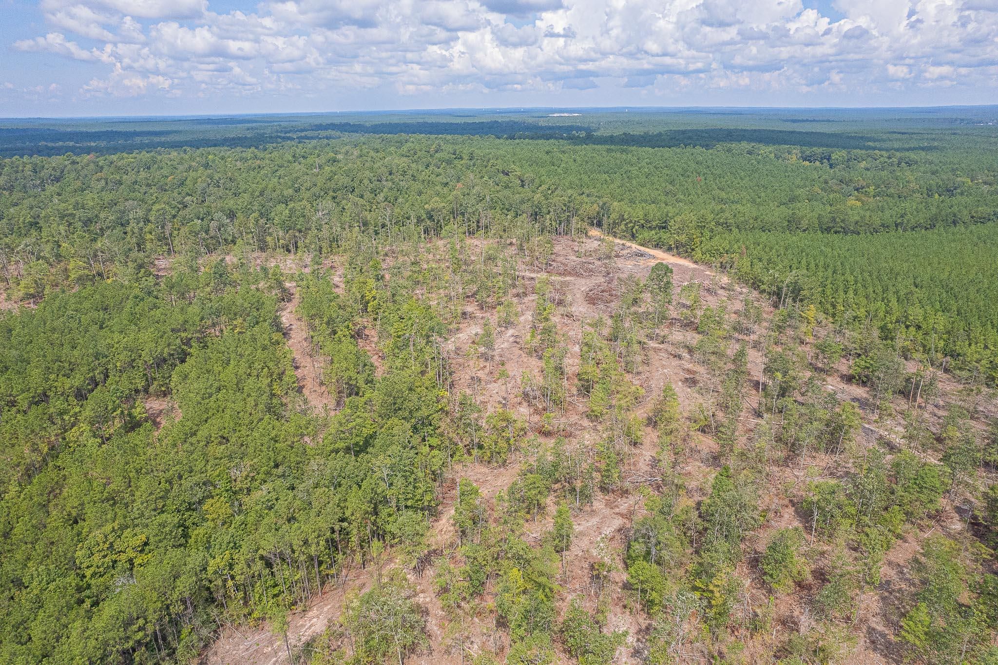 30 acres in Jasper County, Texas